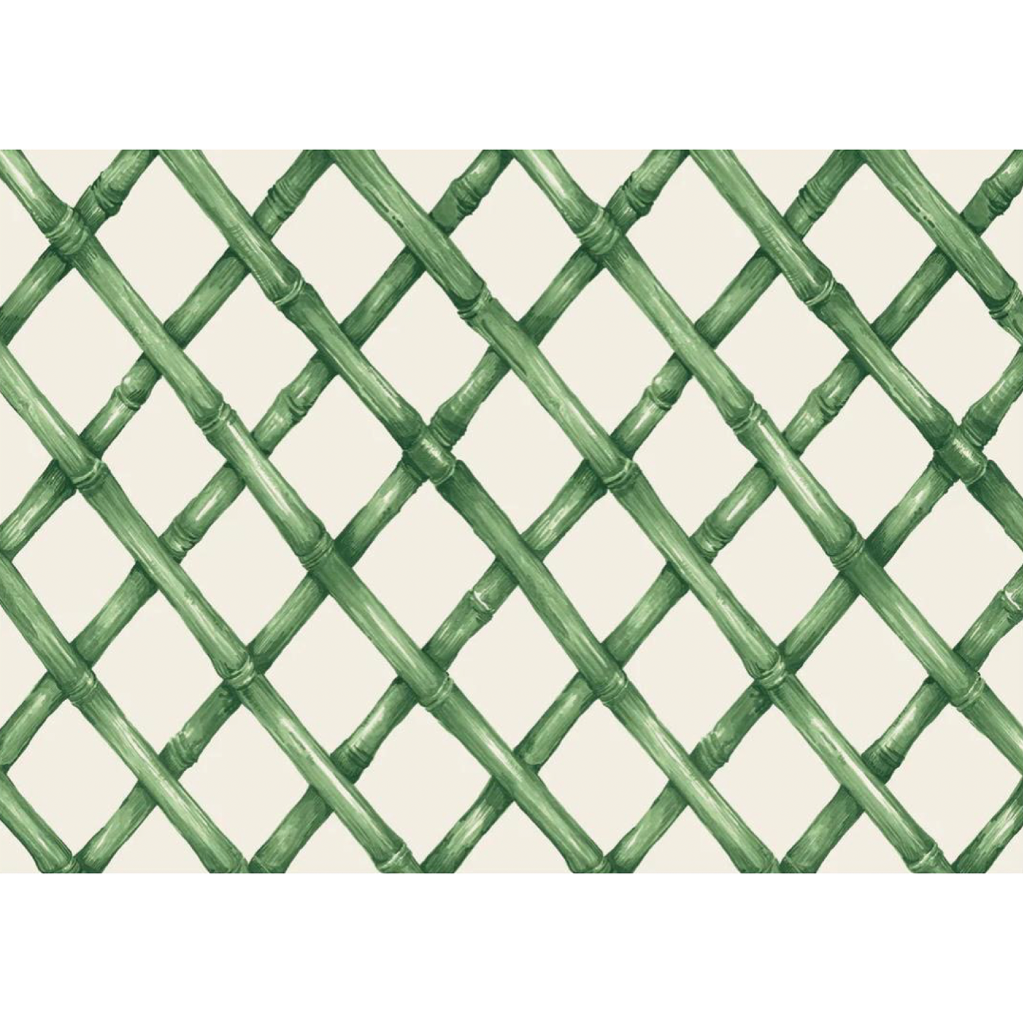 Matt Green Bamboo Paper Placemats