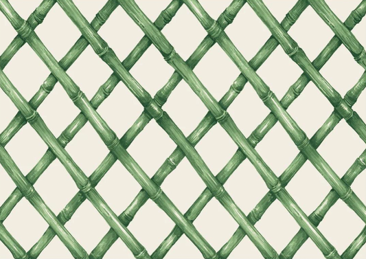 Matt Green Bamboo Paper Placemats